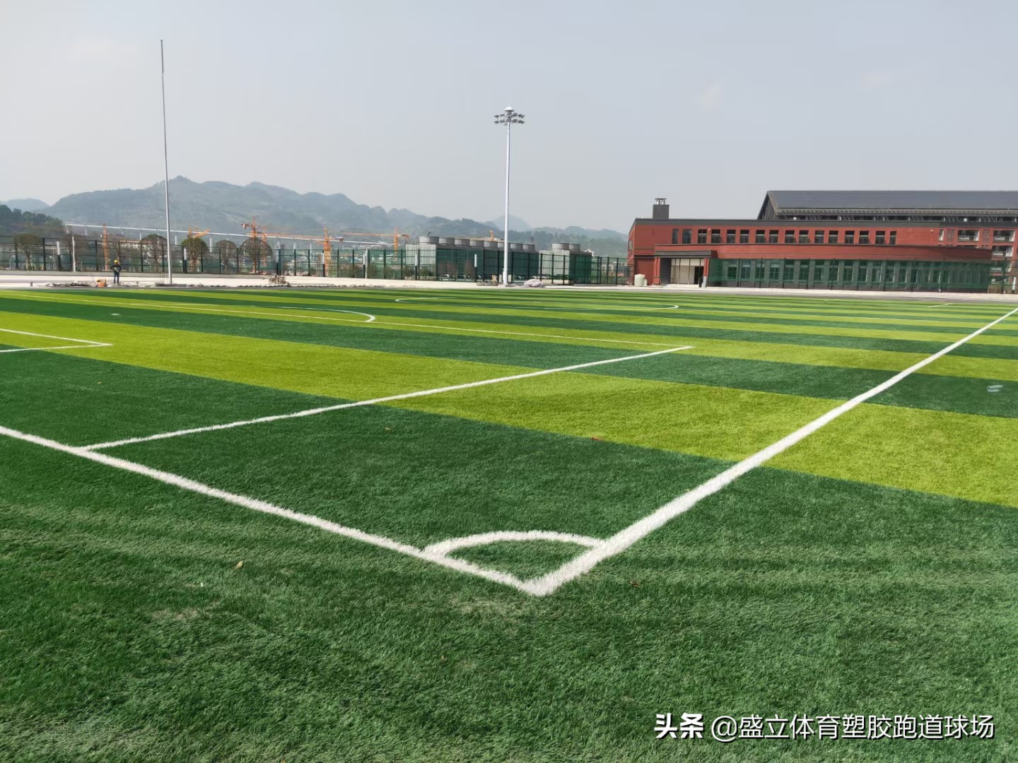 足球场人造草多少钱,人造草坪足球场电话