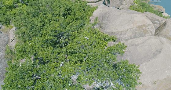 在鲜味江湖里，广东这座小城堪称食客天堂