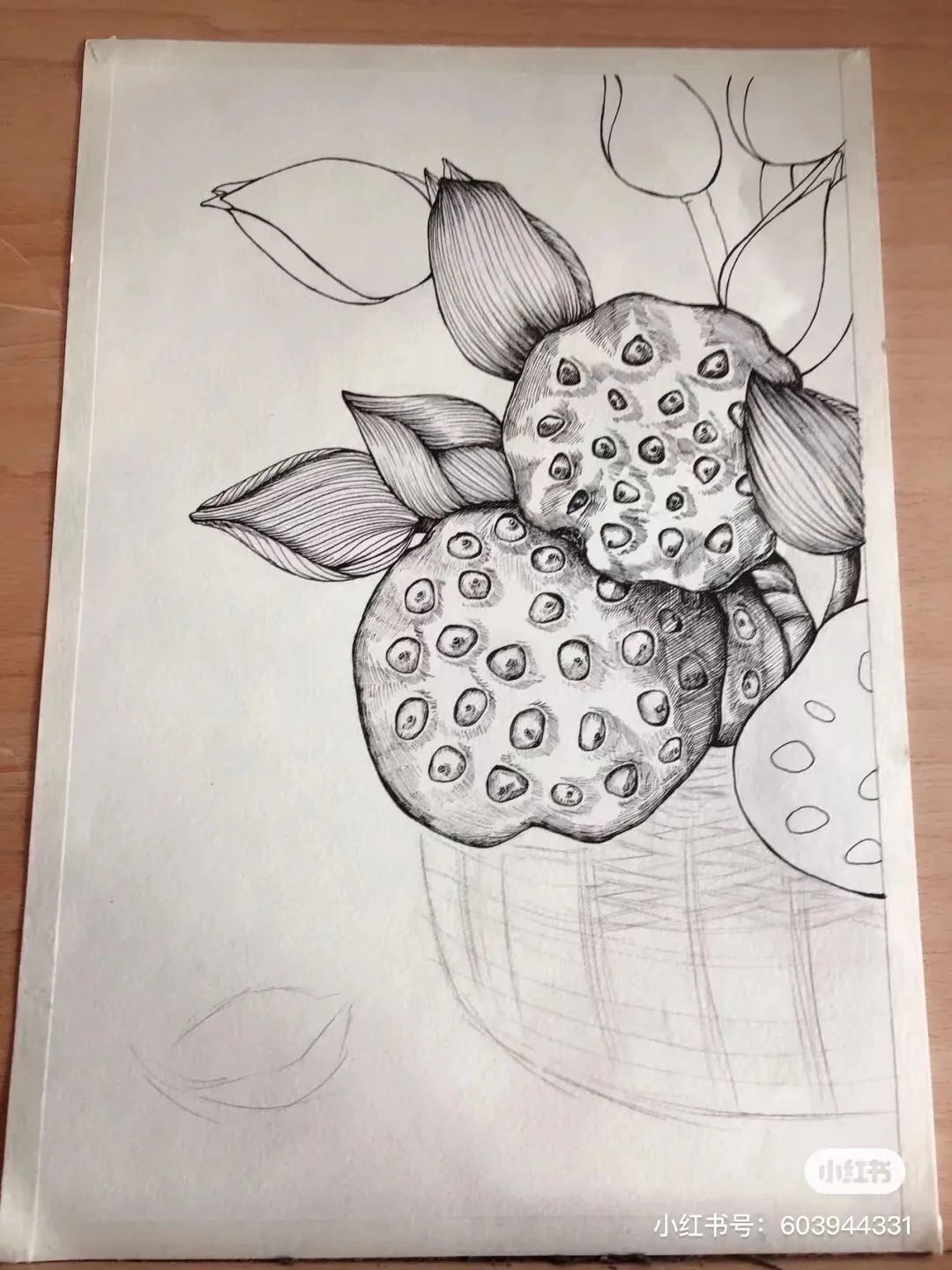 针管笔画线条练习,针管笔黑白装饰画线描