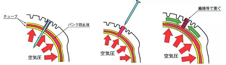 二轮考古学-本田幼兽编年史合集（1952-今）