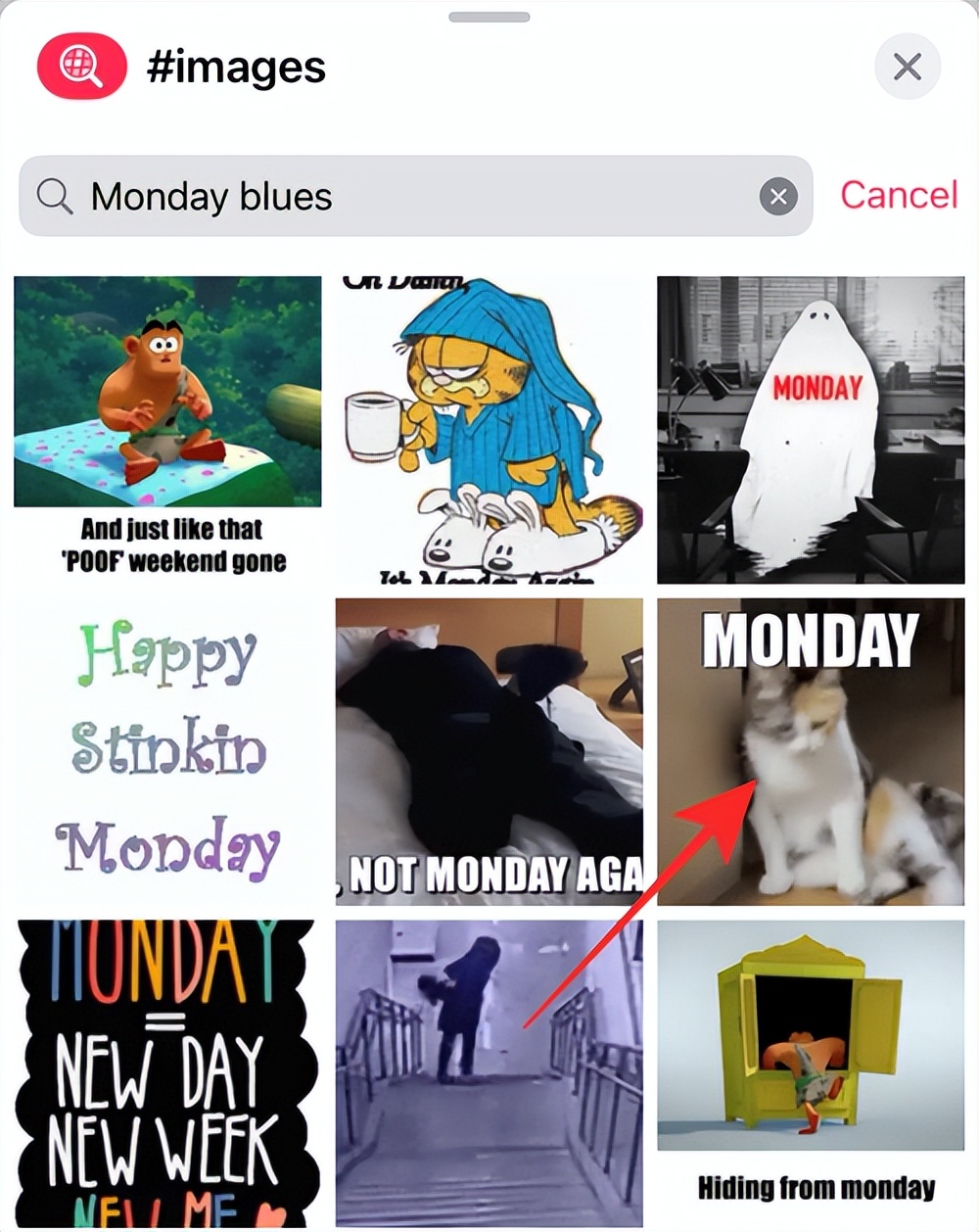 为什么苹果的gif图片不显示,iphonegif为什么不动