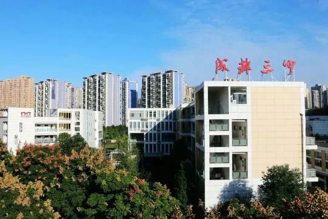 成都29所学校招聘,成都高新区在职教师招聘