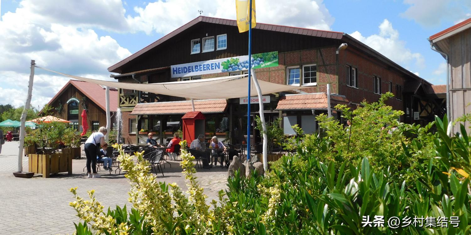 寰峰浗鑺︾瑡鍐滃満,鍏嬭幈鏂墭鑺︾瑡浣撻獙