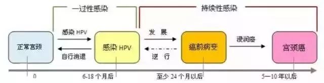 国际hpv宣传日,国际hpv知晓日2024年主题