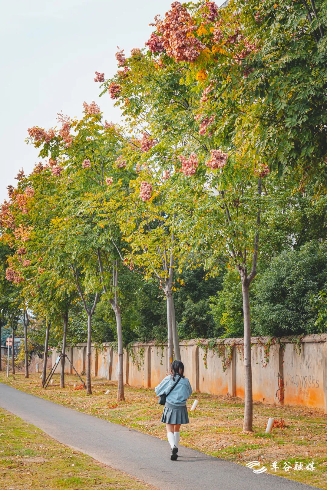 淘金山骑行绿道和东湖骑行绿道,周末绿道骑行一路都是美景