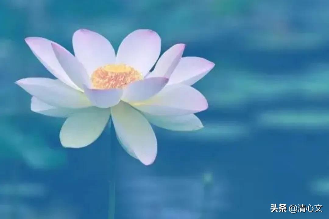 遮瑕化妆的正确步骤教程,夏天化妆的正确步骤顺序