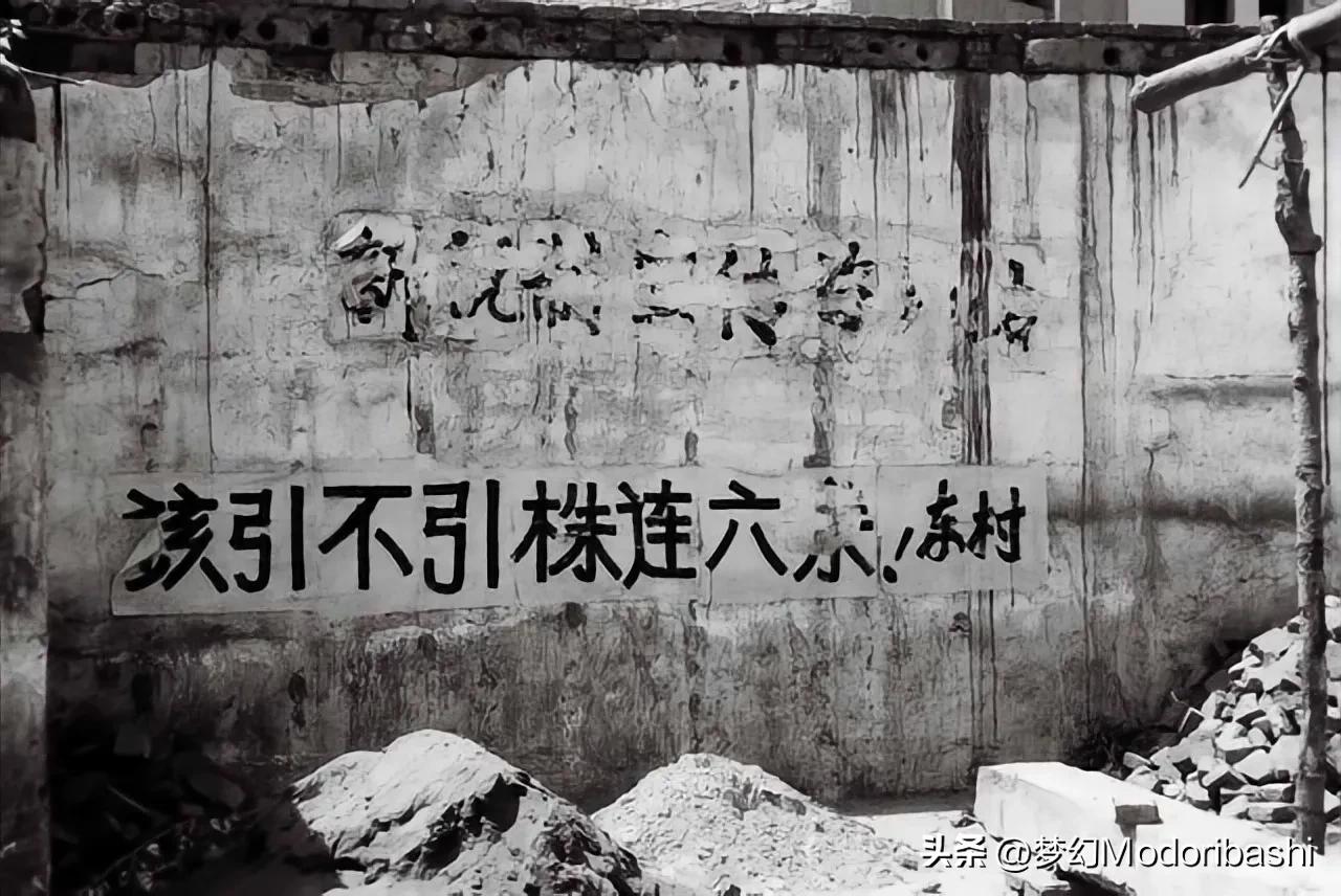 前计生专干:牵农户的牛充公,捅穿农户的瓦警告,就是我工作