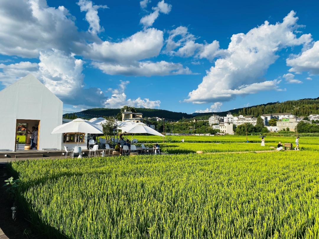 云南共青团就业,共青团如何服务引领青年就业创业