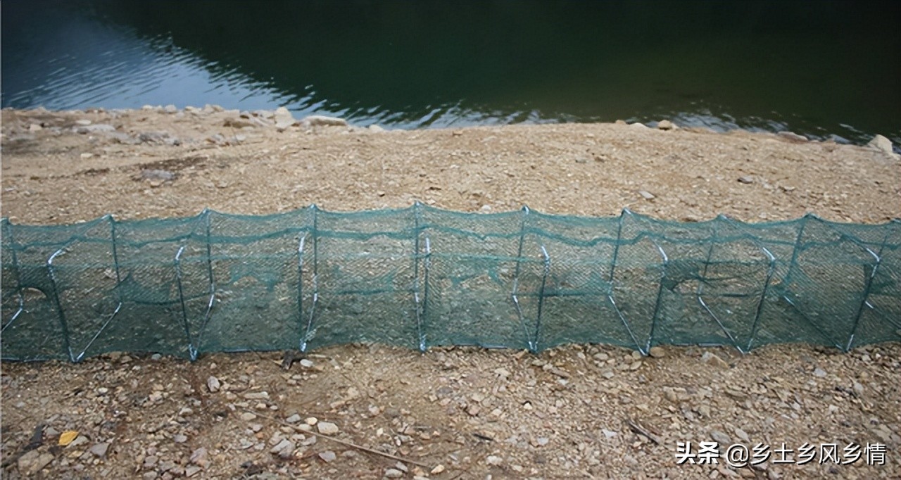 地笼网的使用方法,虾网地笼的使用方法