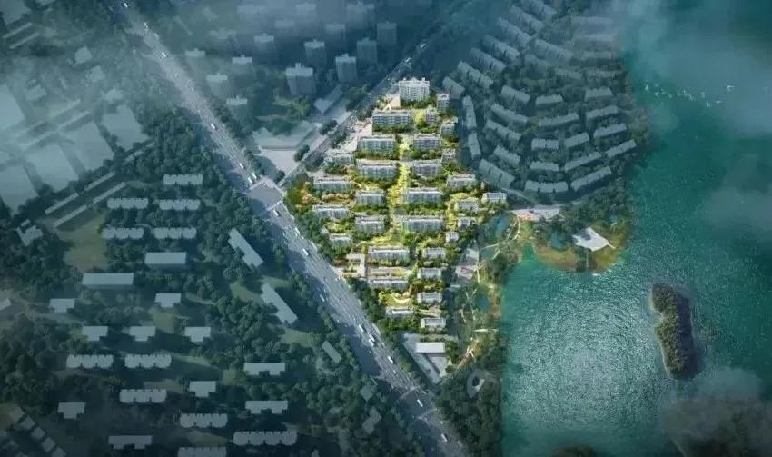 襄阳白菜最新价格,襄阳白菜聊襄阳房价