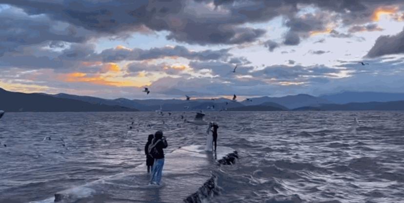 冬季洱海看海鸥最佳地方,这个冬天洱海该有多浪漫