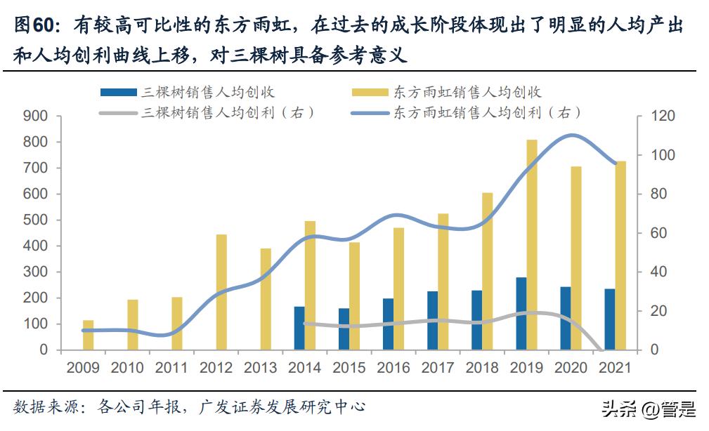 三棵树发展理念,三棵树战略规划