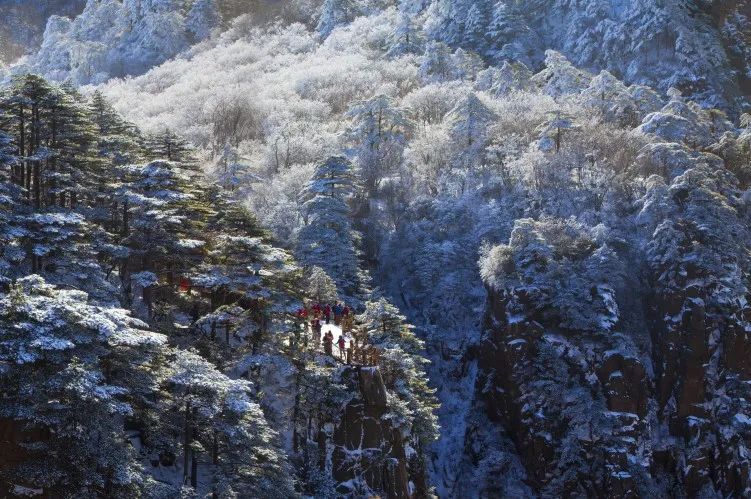 游玩安徽黄山的感受,安徽人去黄山旅游攻略