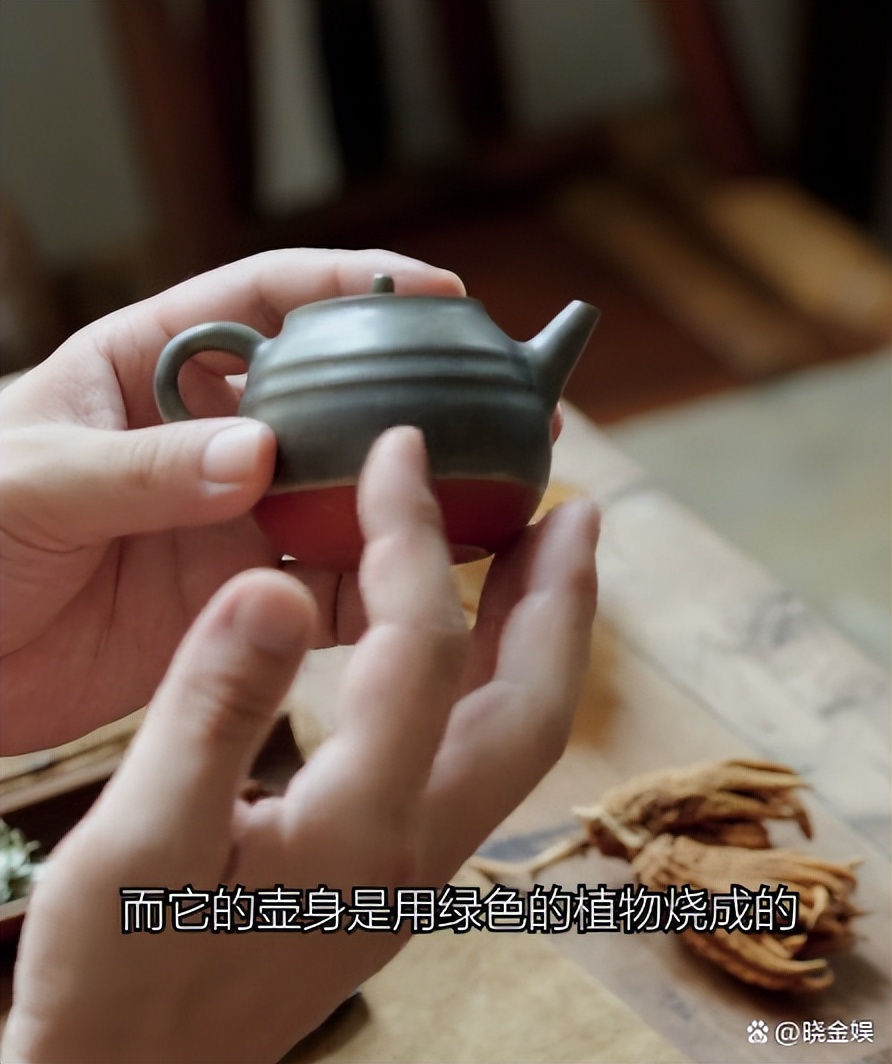 李亚鹏：立秋讲究多，一边喝“荷叶陈皮茶”一边煲冬瓜猪骨养生汤