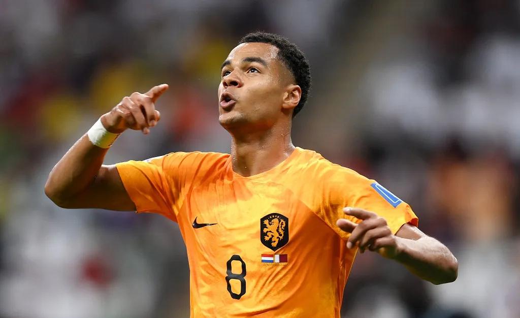 无冕之王淘汰五星巴西,无冕之王出局