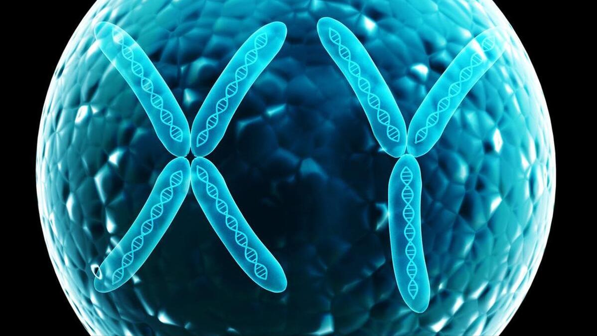 孕妇验血知怀孕天数,验血如何看孕妇孩子是否健康