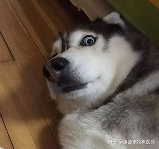 男：我就搞不明白，为啥过桥米线就那么贵呢？比普通的贵6块钱？