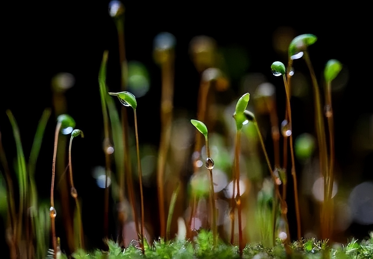 小伙月入过万，买双布鞋的钱还得靠偷，妻子直言：有前科才不给钱