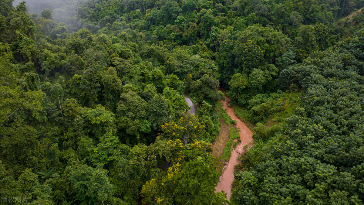 西双版纳避寒避暑的雨林仙境,西双版纳避寒过冬优缺点