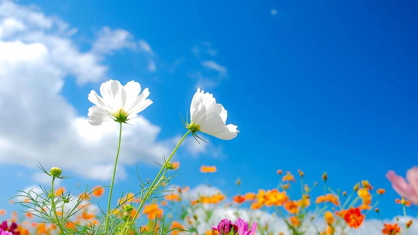 0基础小白快速入门自媒体必看,自媒体新手小白入门快速注册账号