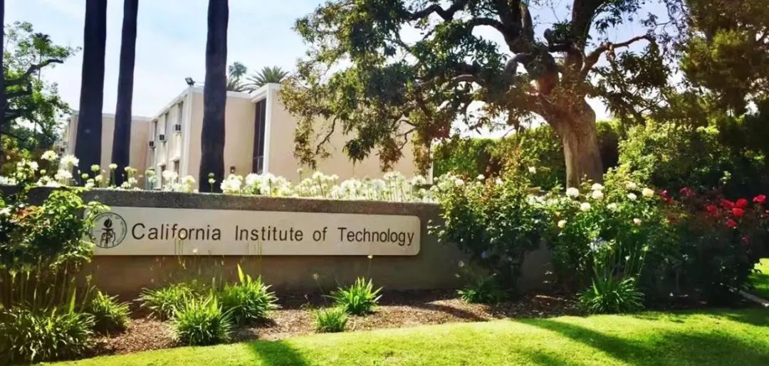 加州理工学院与纽约理工大学比较,世界名校大学合集