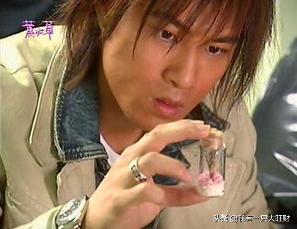 薰衣草从零开始,薰衣草诠释爱情