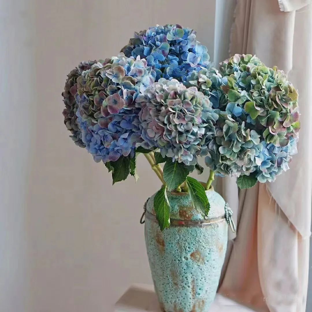 又又又被美到！10款秋日的花果叶，打包了最斑斓的秋色