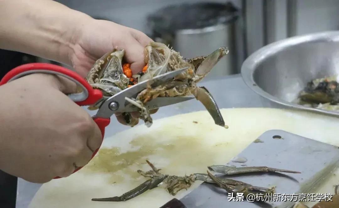 九道菜馆推荐菜,九道酒楼口碑菜品