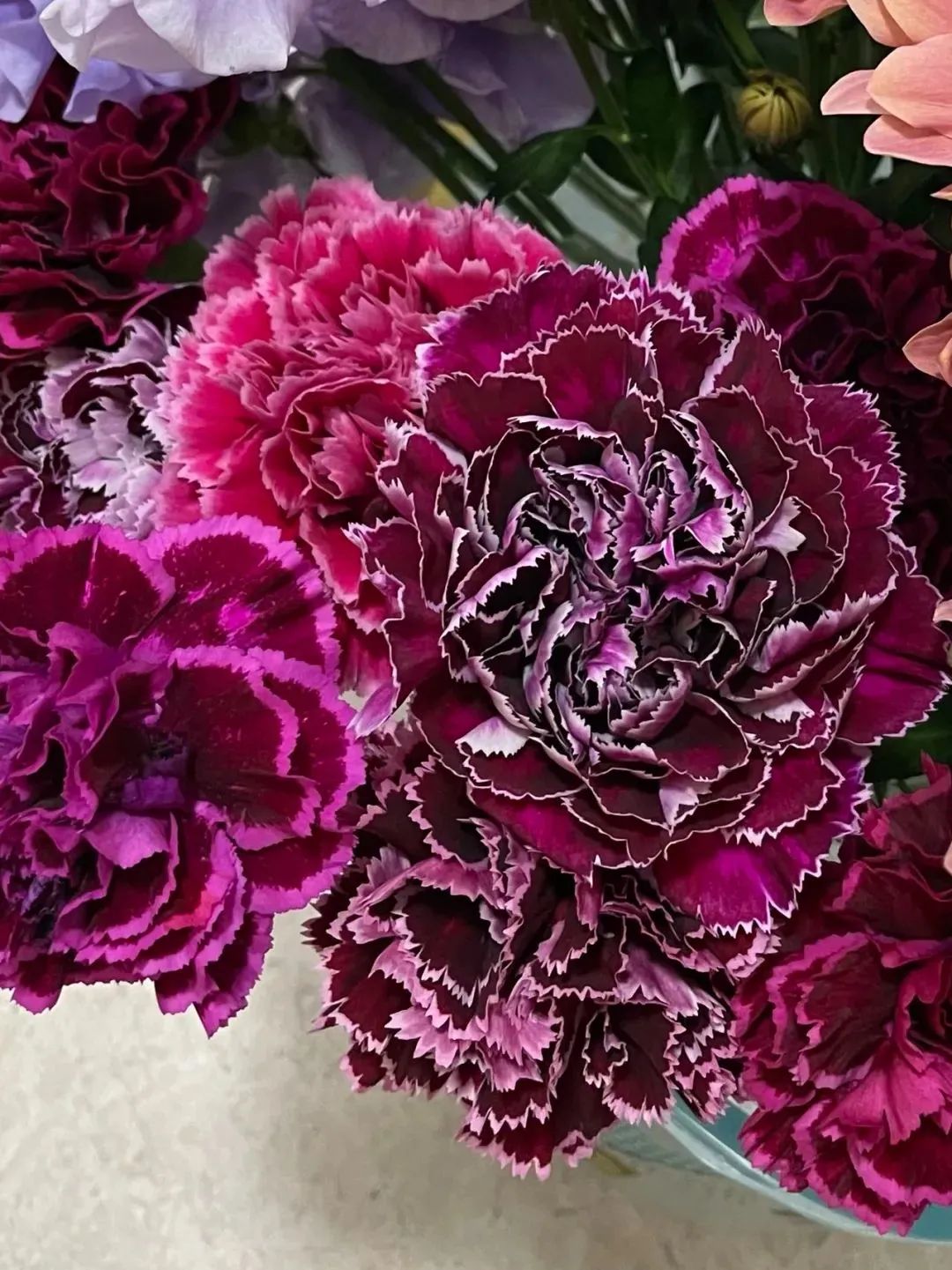 鲜花在水里能养几天会死,新加坡盆栽花卉怎么养