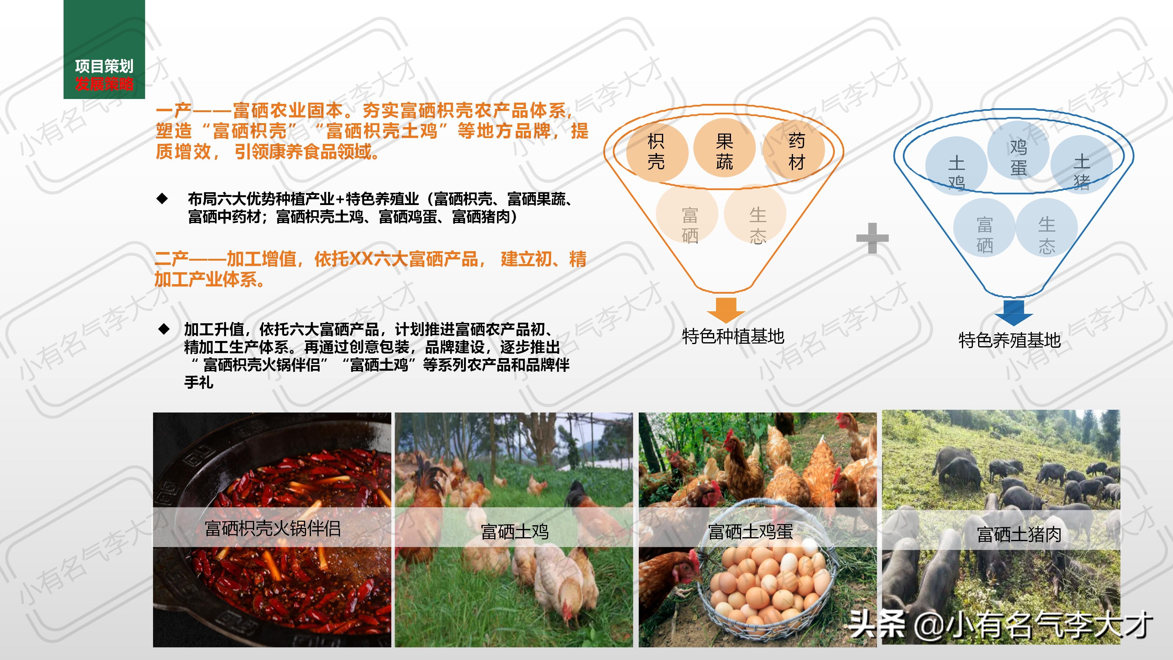 农业观光园营销策划方案100例,农业品牌策划产品战略规划