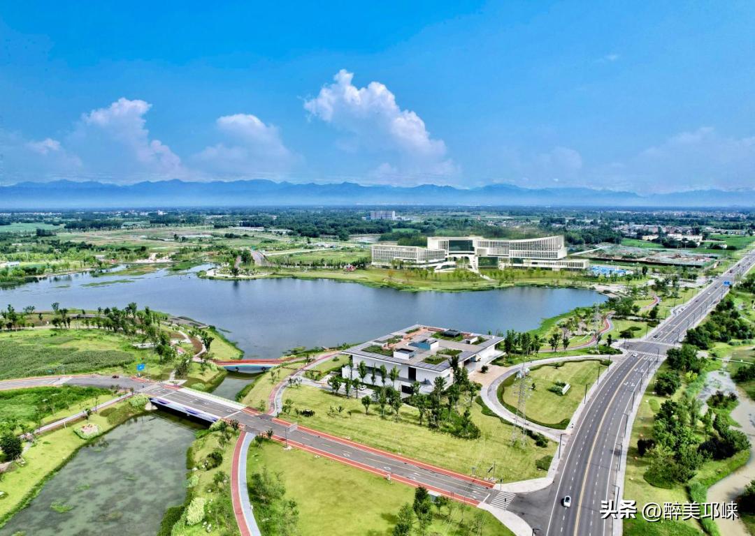 企业家谈助力经济发展,企业家说成功的关键