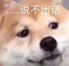 安乐死总体看法,安乐死可以不治疗吗