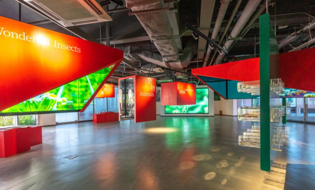 端午假期光明活动超精彩！音乐live、摘荔枝、包粽子……等你解锁！