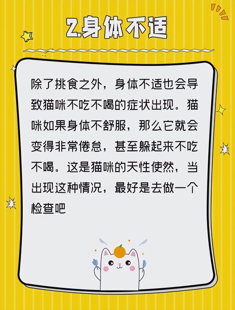 猫一天不吃东西怎么回事,猫一天不吃东西了怎么办