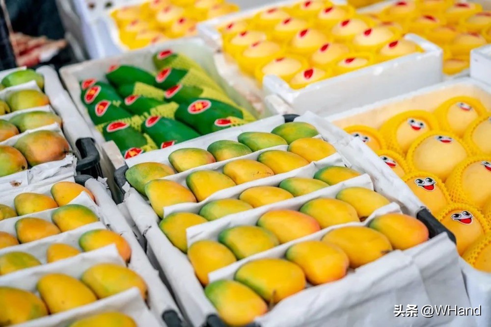 武汉批发市场品牌,武汉批发市场五楼