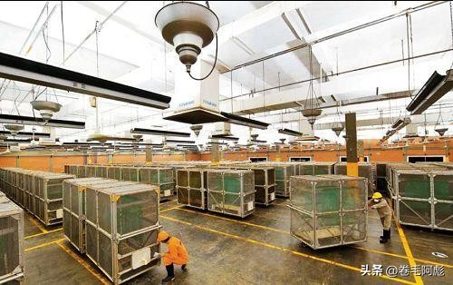 美国女子吃蜱虫被咬死,美国女子被虫子咬