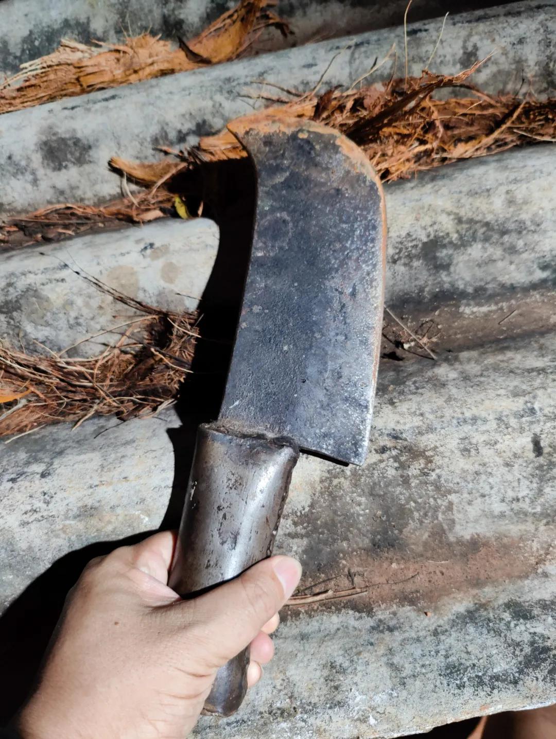 集中营六记,集中营逃亡7年