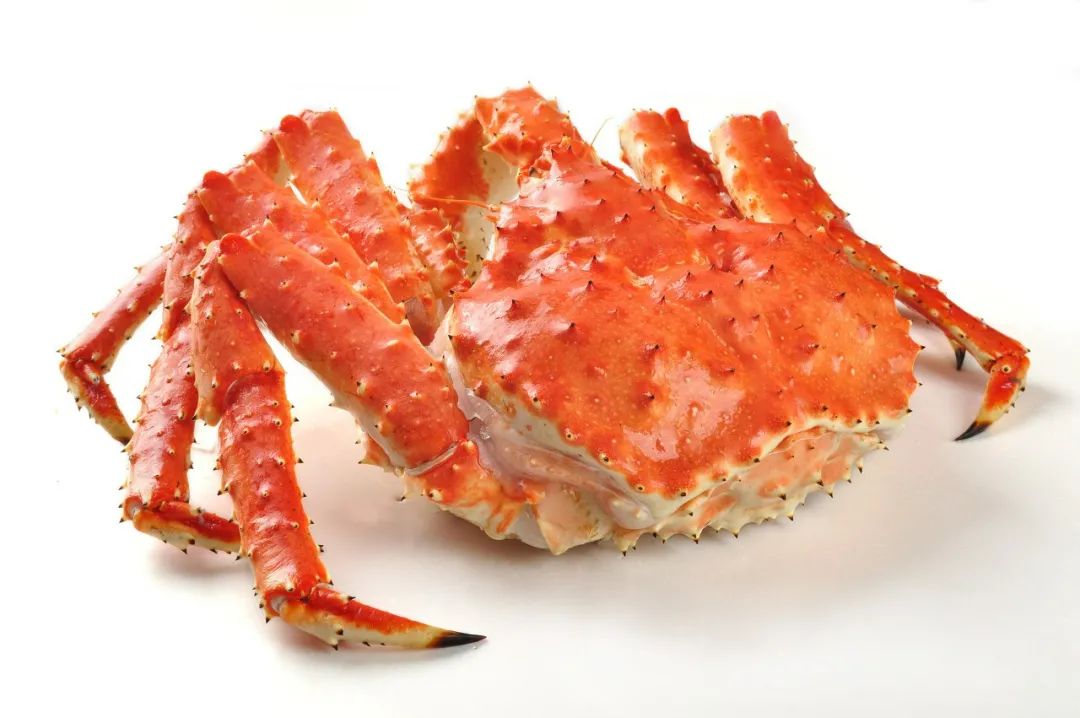 为什么冷冻的死螃蟹可以吃,没死时候冷冻的螃蟹能吃吗