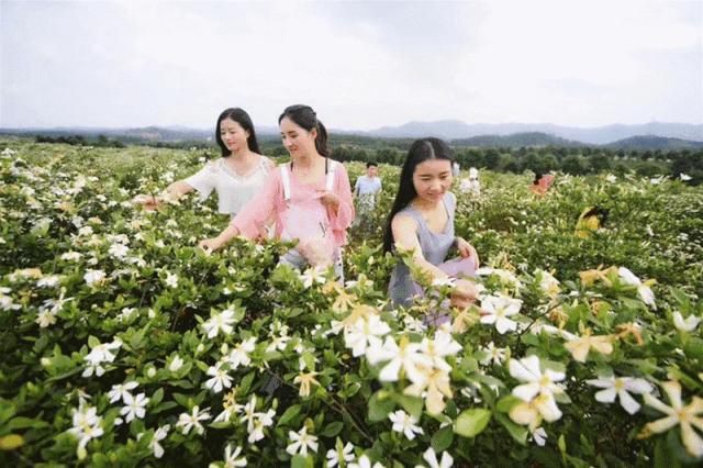 五一湖南景区优惠,国庆期间长沙旅游景点优惠活动