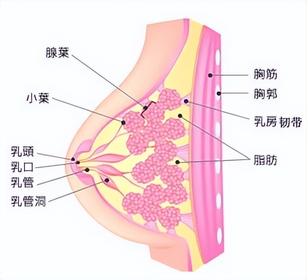 挤一挤总是有的,挤一挤总会有的下一句