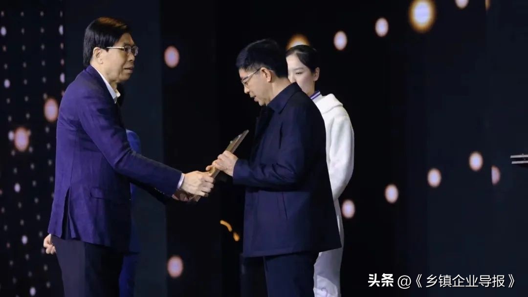 乡村振兴赋能计划人才典型案例,乡村振兴之文化振兴案例