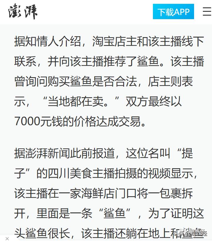 陈一娜网红食用大白鲨后续,网红从京东购买大白鲨京东澄清