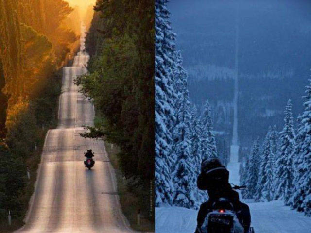 100个难得一见照片，砍伐巨树，运输军舰的巨轮，治疗风湿病的熊