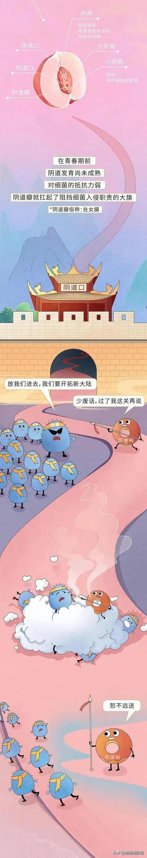 男女性知识科普,成人男性怎么了解性教育