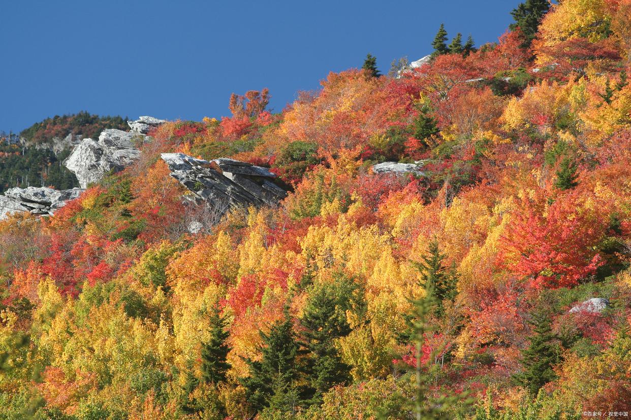 长焦镜头为什么会使画面纵向压缩,长焦镜头能帮助相机拍得更清晰吗