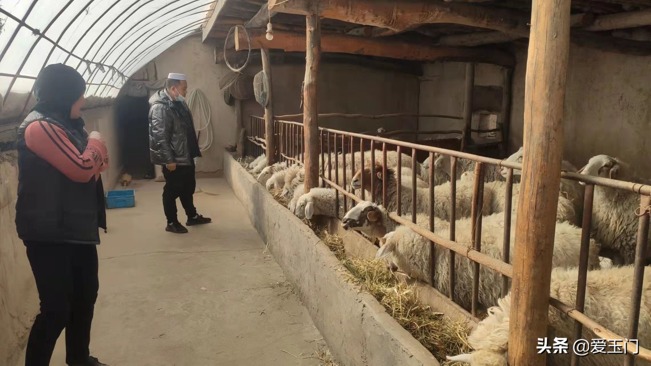 凝心聚力奋进新征程,凝心聚力建功新时代展现新作为