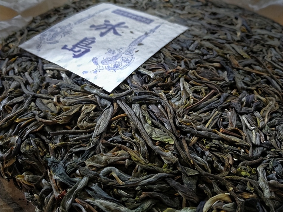 临沧冰岛昔归源头茶区直播,临沧茶区有冰岛吗