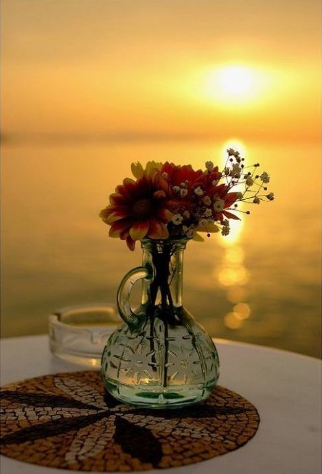 散文心中有光,散文心有阳光一路芬芳