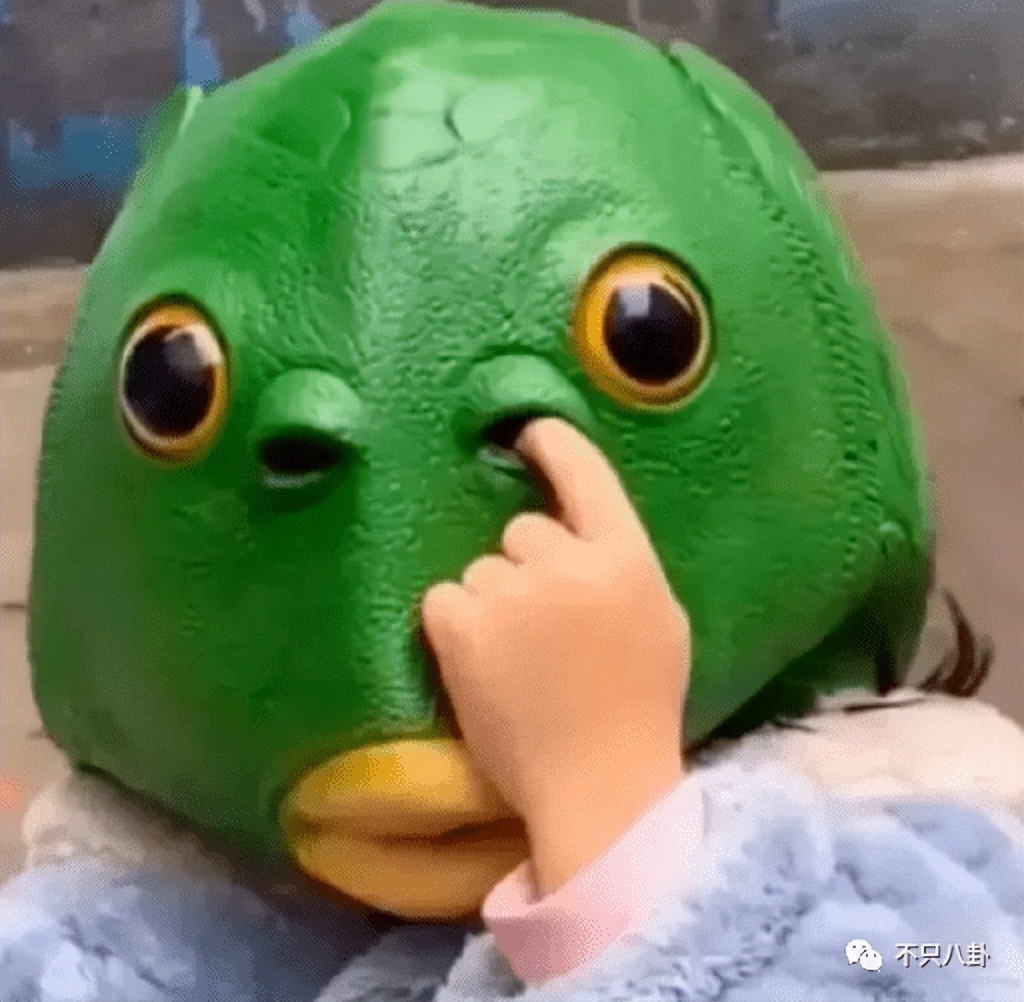 顶级网红逐梦娱乐圈，结果她被骂颜值太普通？