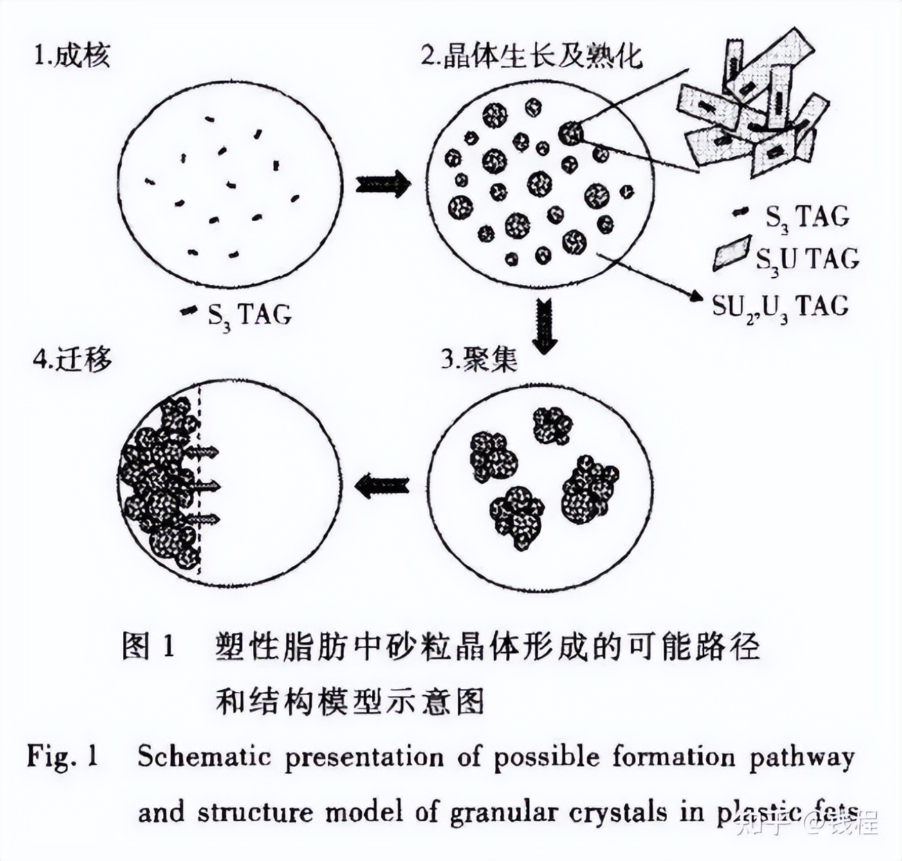 康师傅调料包出现虫卵,康师傅方便面油包白点像鱼卵